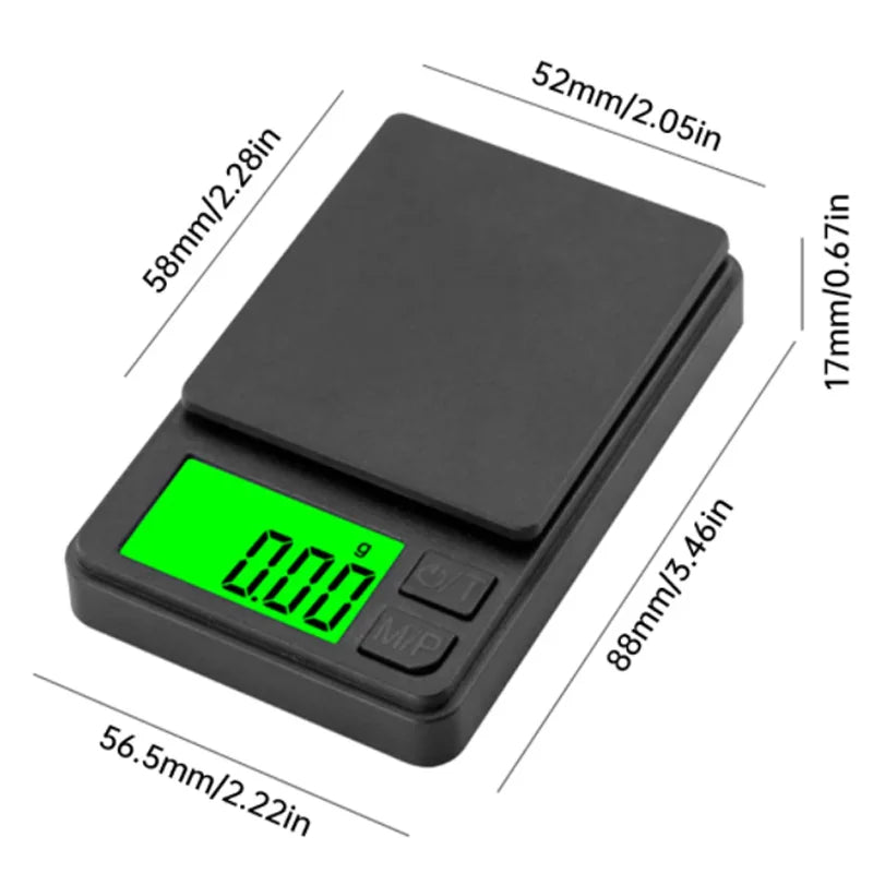 Precision Digital Bench Scale