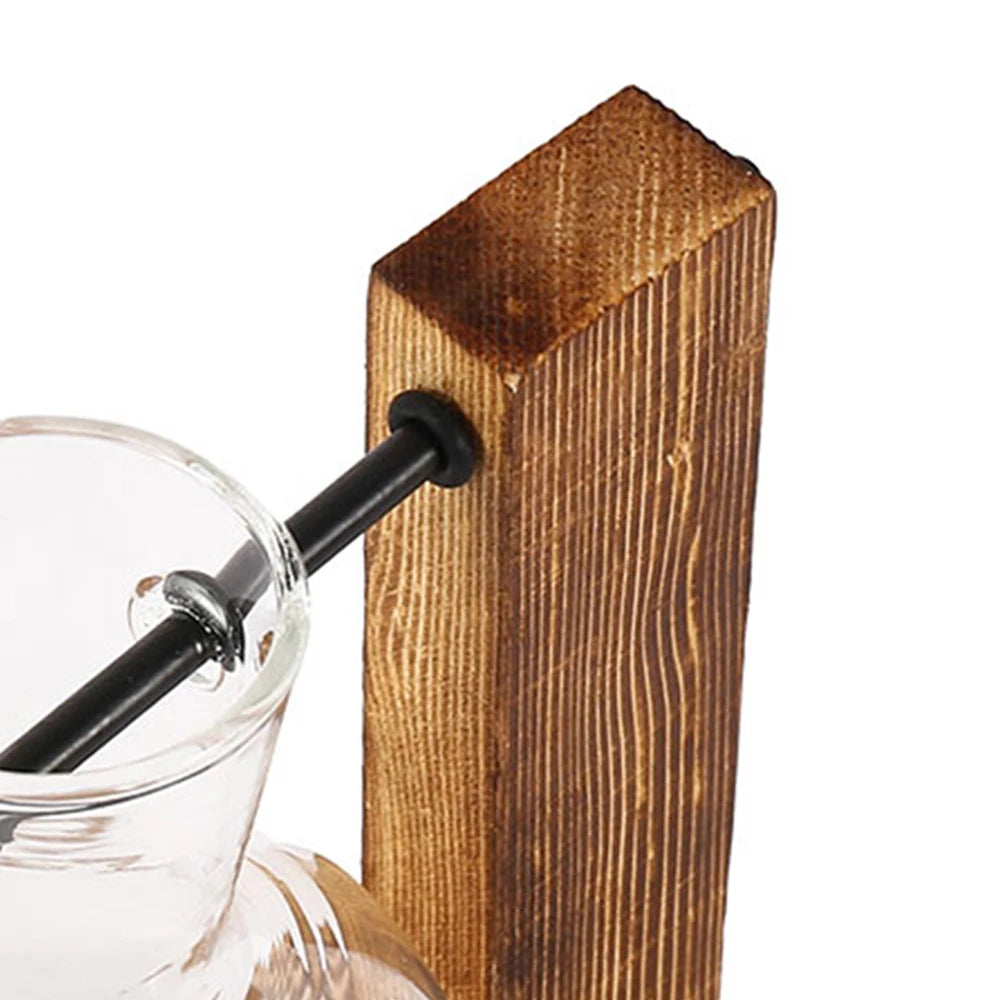Glass Bulb Hydroponic Vase with Wooden Stand