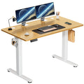 40 x 24 Inch Electric Standing Desk