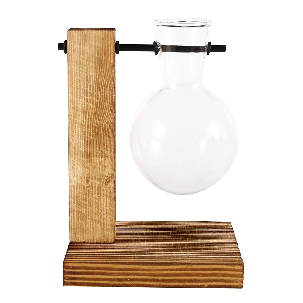 Glass Bulb Hydroponic Vase with Wooden Stand