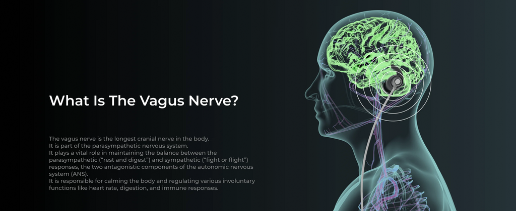 Vagus Nerve Stimulator for Better  Sleep, Calm, Meditation and Drug-free Intervention for Headache