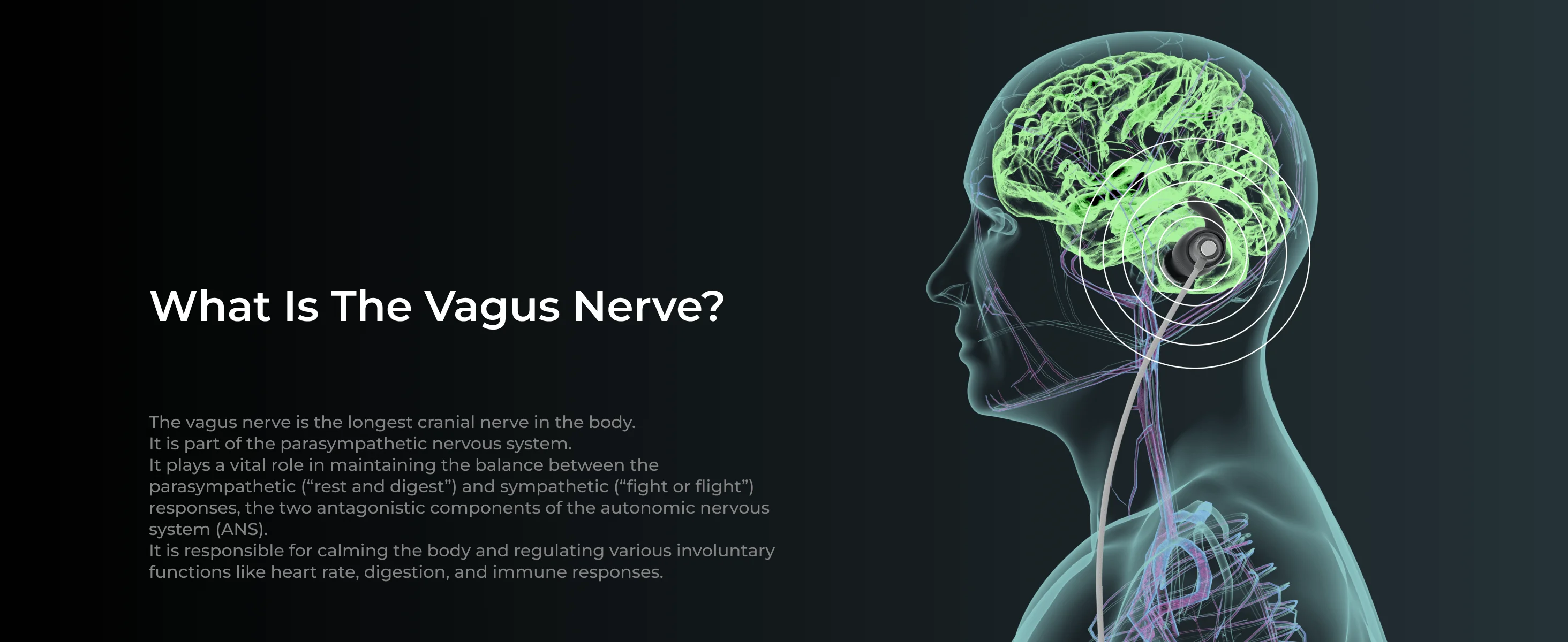 Vagus Nerve Stimulator for Better  Sleep, Calm, Meditation and Drug-free Intervention for Headache