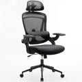 Ergonomic Mesh Office Chair with Lumbar Support