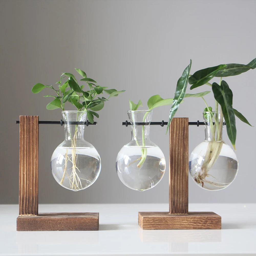 Glass Bulb Hydroponic Vase with Wooden Stand