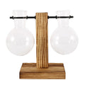 Glass Bulb Hydroponic Vase with Wooden Stand
