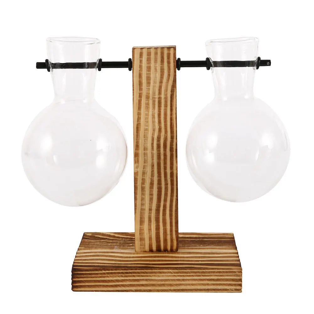 Glass Bulb Hydroponic Vase with Wooden Stand