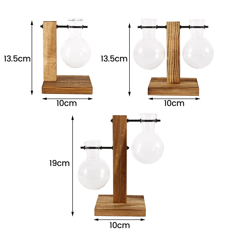 Glass Bulb Hydroponic Vase with Wooden Stand
