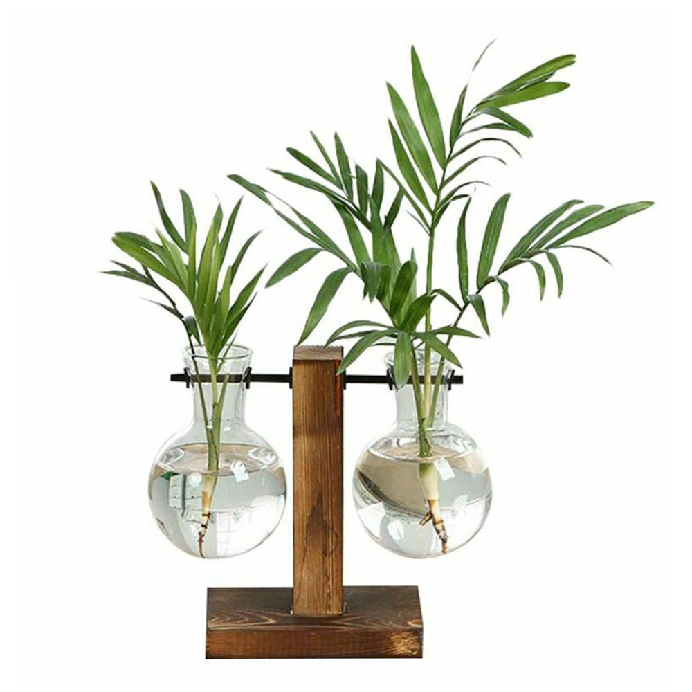 Glass Bulb Hydroponic Vase with Wooden Stand