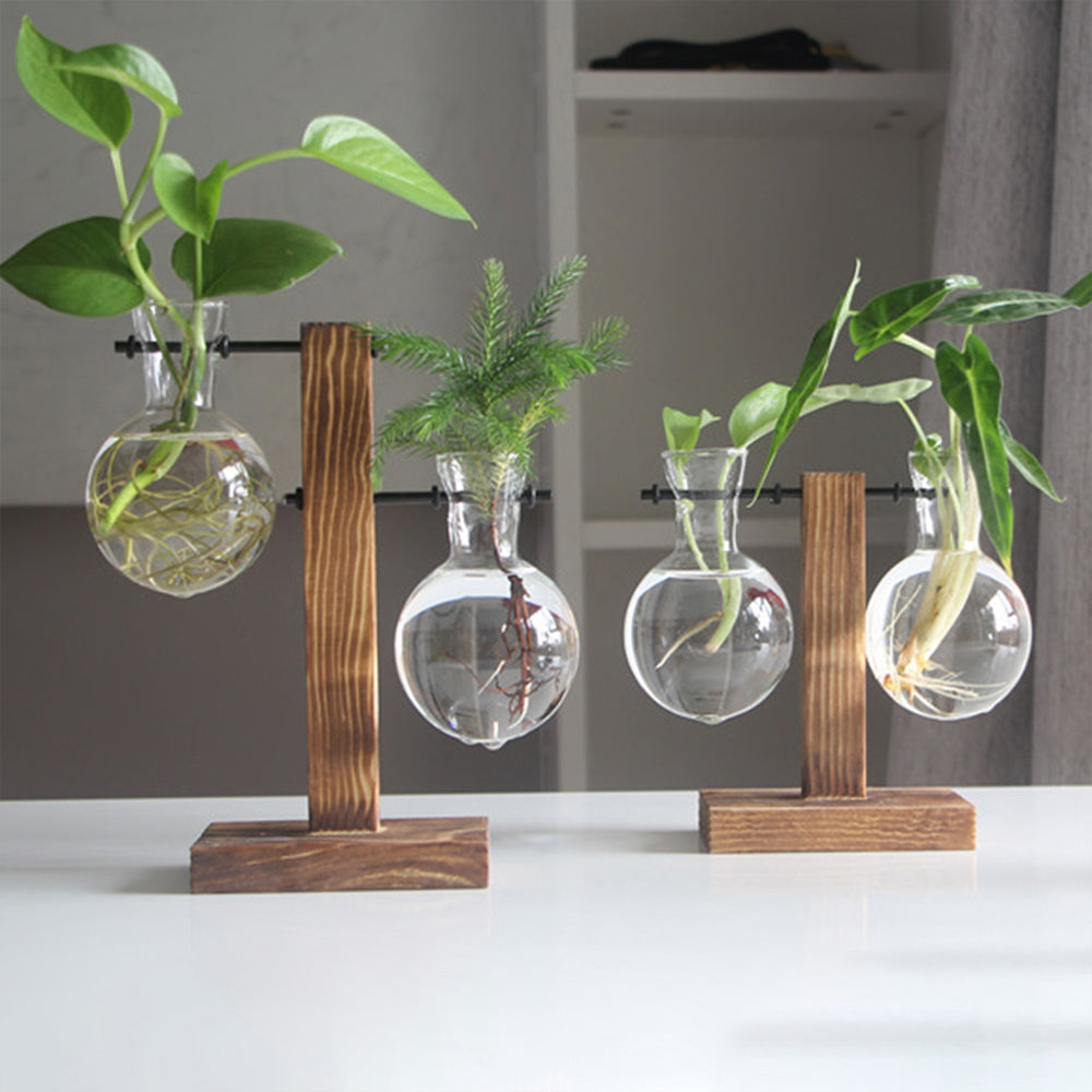 Glass Bulb Hydroponic Vase with Wooden Stand