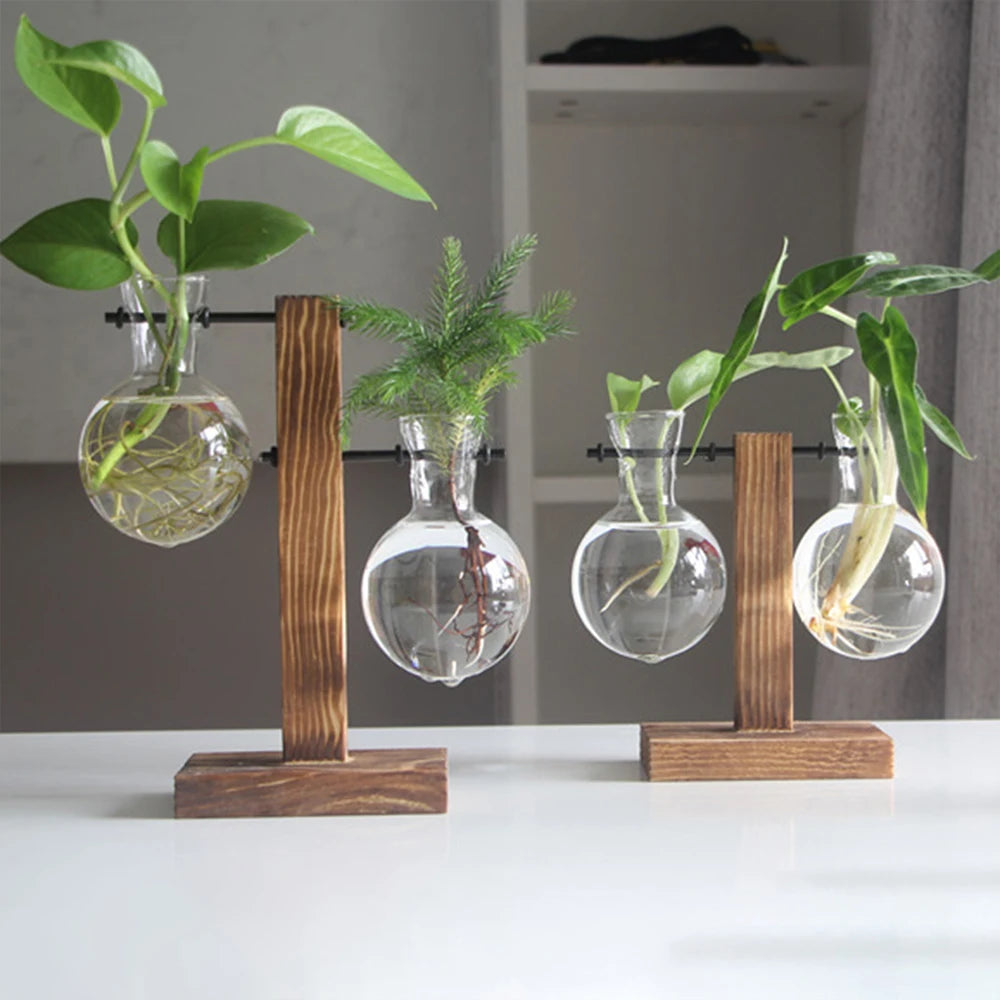 Glass Bulb Hydroponic Vase with Wooden Stand